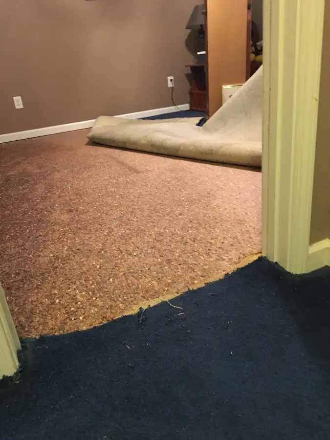 Carpet pad removal revealing water damage during Drying & Dehumidification in Murphysboro