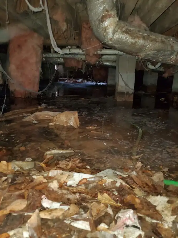 Crawl space flood assessment for Leak Detection & Repair in Murphysboro