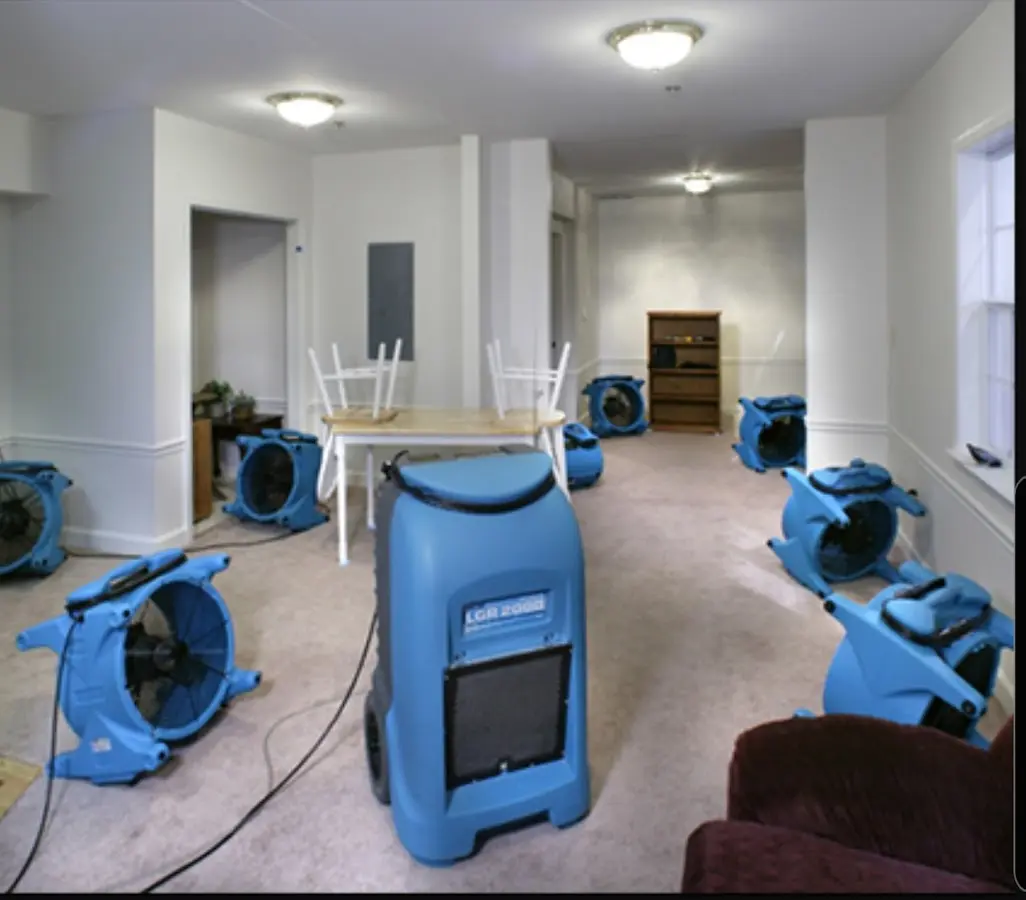 Air movers and dehumidifier setup for Water Extraction & Removal in Murphysboro
